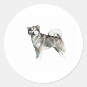 alaskan malamute full.png ラウンドシール