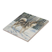 Alaskan Malamute Trinket Box タイル (側面)