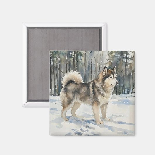 Alaskan Malamute Trinket Box マグネット (正面/裏面)