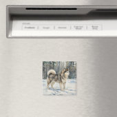 Alaskan Malamute Trinket Box マグネット (インサイチュ (食洗機))