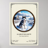 Alaskan Malamute Zoology Series ポスター (正面)