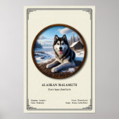 Alaskan Malamute Zoology Series ポスター (正面)