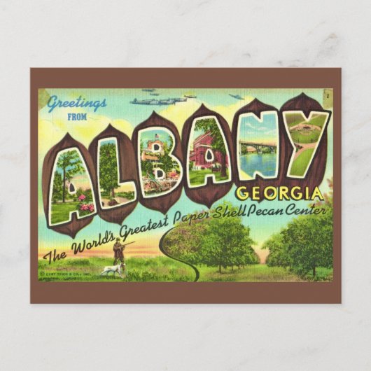 Albany Georgia Vintage Postcard ポストカード (正面)