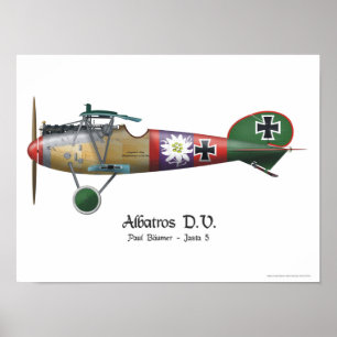 Albatros D.V. ww1のドイツの戦闘機Bäumer ポスター