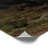 Albert Bierstadt Rocky Mountains, Lander's Peak ポスター (角)