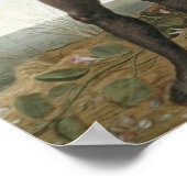 Albert Eckhout著Hom africano （アフリカ人） ポスター (角)