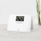 Albert Edelfeel – スイリー，勉強 カード (裏面)