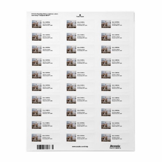 Albert Edelfelt -遊 Boys's on the Shore ラベル (フルシート)