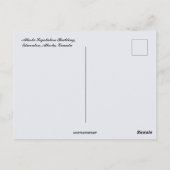 Alberta Legislature Building Alberta Canada ポストカード (裏面)