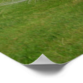 Albino Peacockが羽根を表示 ポスター (角)