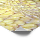 Albino RattleSnake Poster ポスター (角)