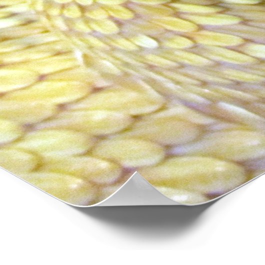 Albino RattleSnake Poster ポスター (角)