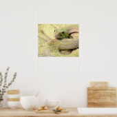 Albino RattleSnake Poster ポスター (キッチン)