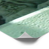 Albino Tiger ポスター (角)