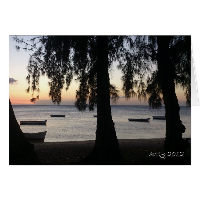 Albionの日没 (正面横)