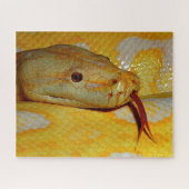 Alboinoのビルマ人の大蛇 ジグソーパズル (横)