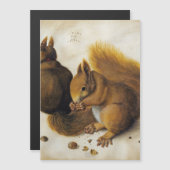 Albrecht Durer - 2つのリス (正面/裏面)