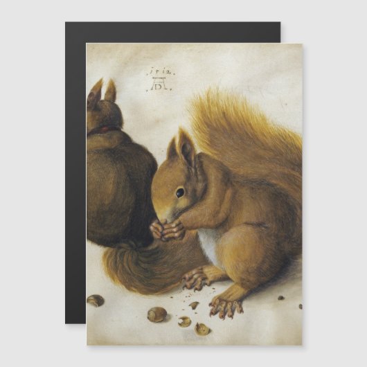 Albrecht Durer - 2つのリス (正面/裏面)