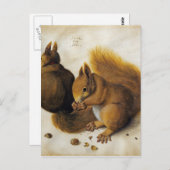 Albrecht Durer - 2つのリス、1つの食べ物のハゼル ポストカード (正面/裏面)