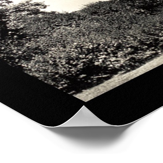 Albright Gallery Buffalo NY写真1913 ポスター (角)