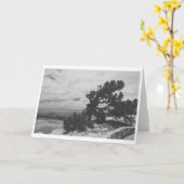 "ALBUQUERQUE LOOKOUT" カード (黄色い花)