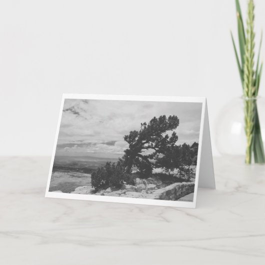 "ALBUQUERQUE LOOKOUT" カード (正面)