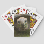 Aldabraのカメの食べ物を与えること トランプ (裏面)