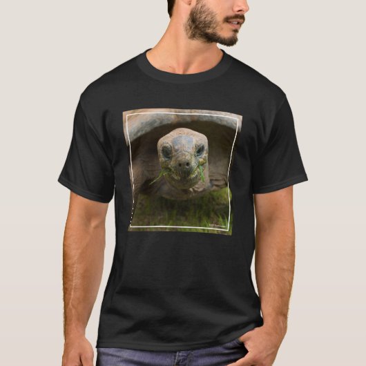 Aldabraのカメの食べ物を与えること Tシャツ (正面)