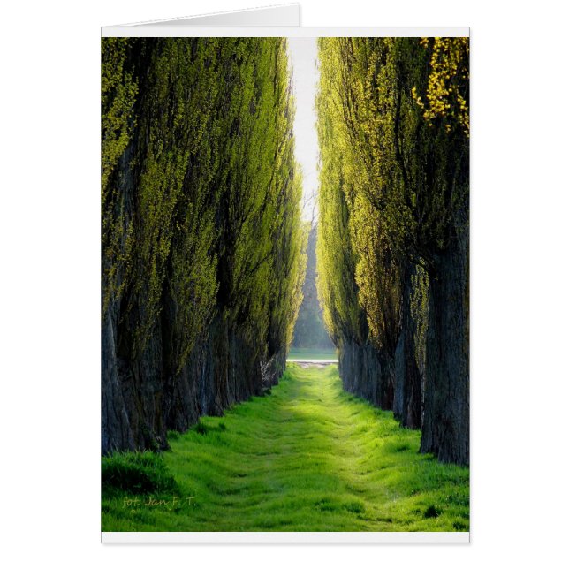 ALEJOEroclawポーランド (正面)