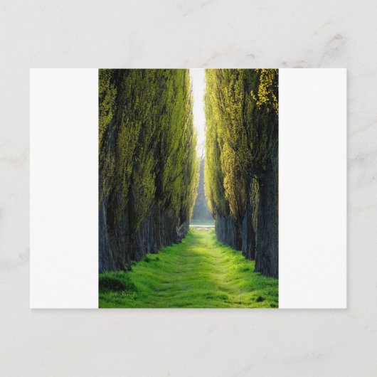 ALEJOEroclawポーランド ポストカード (正面)