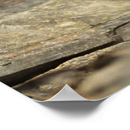 Alert Weasel ポスター (角)