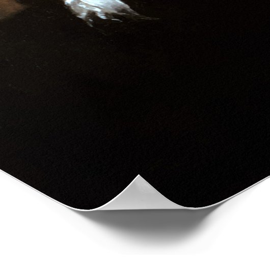 Alexander Hamilton - – 創始者 ポスター (角)