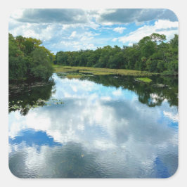 Alexander Springs Creek スクエアシール