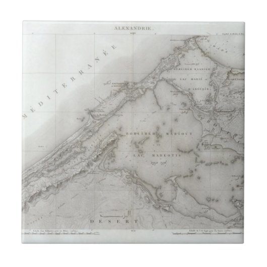 Alexandrie、エジプト タイル (正面)