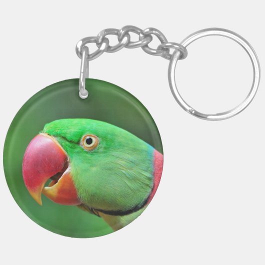 Alexandrineのインコ キーホルダー (裏面左)