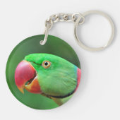 Alexandrineのインコ キーホルダー (裏面)