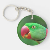 Alexandrineのインコ キーホルダー (正面)
