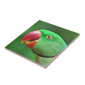 Alexandrineのインコ タイル (側面)