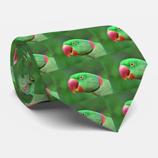 Alexandrineのインコ ネクタイ (ロール)