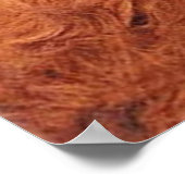 ALF ポスター (角)