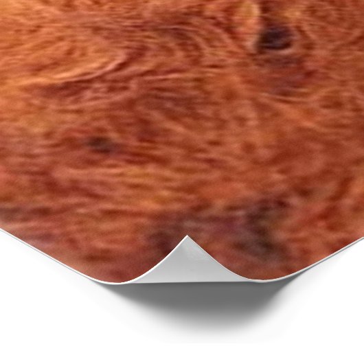 ALF ポスター (角)