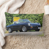 Alfa Romeo Spider als ZENDER Sondermodell ランバークッション (ブランケット)
