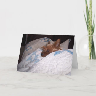 Alfieからの心地よい カード