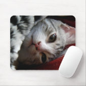 Alfie マウスパッド (マウス)
