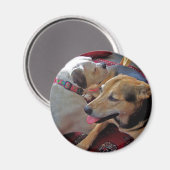 Alfie & Holly：バ最高のッド マグネット (正面/裏面)