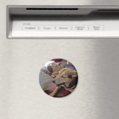 Alfie & Holly：バ最高のッド マグネット (インサイチュ (食洗機))