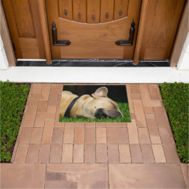 Alfombra de perro para hogar ドアマット