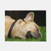 Alfombra de perro para hogar ドアマット (正面)