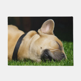 Alfombra de perro para hogar ドアマット