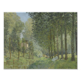 Alfred Sisley – ストリーム沿いの休憩 フォトプリント